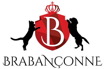 Brabanconne 爸媽寵